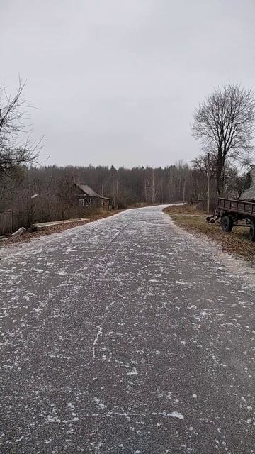 Снежок пошел. Деревня. Беларусь.