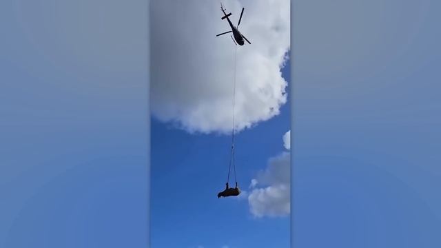 Если Бы Это Видео Не Сняли На Камеру, Никто Бы Точно не Поверил