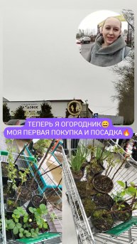 Теперь я огородник😄
Моя первая покупка и посадка🔥