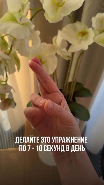 ПРОФИЛАКТИКА АЛЬЦГЕЙМЕРА