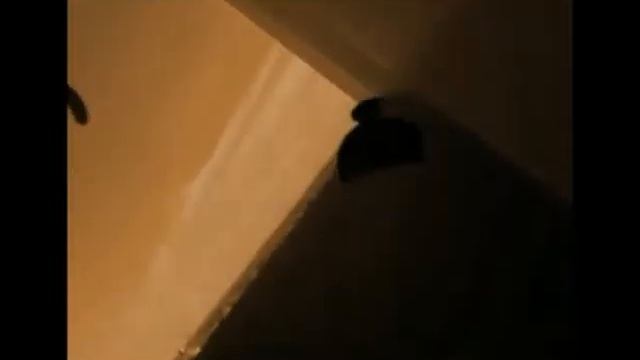 Таня Снежок