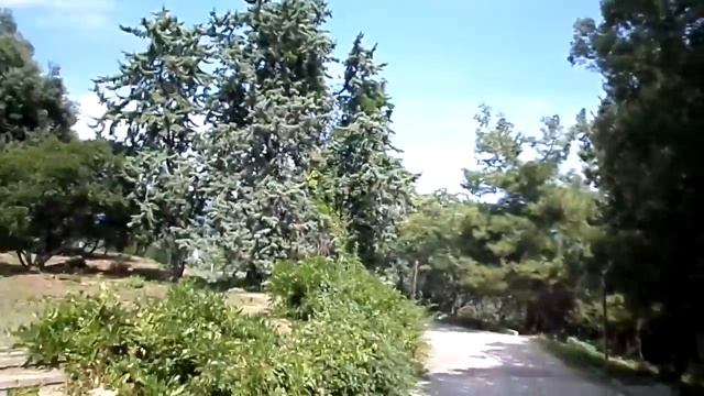 3  26 08 21 Ливадийский дворец