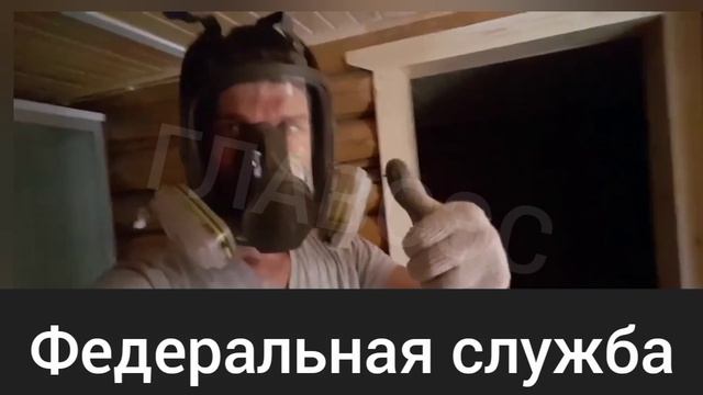 фумигация дома от насекомых