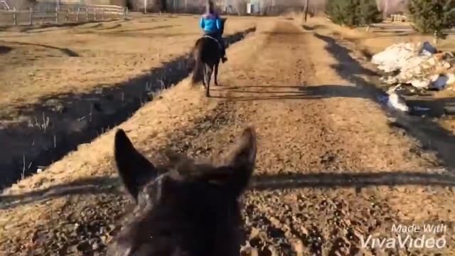 Ещё 1 поход в горы⛰ на Грине🐴❤️