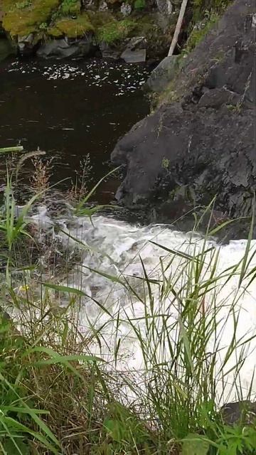 Водопад Кивач в Карелии