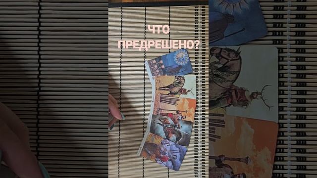 ЧТО ПРЕДРЕШЕНО?