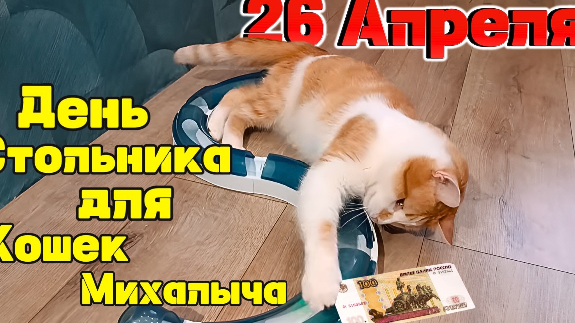 26 Апреля День Стольника для Кошек Михалыча.