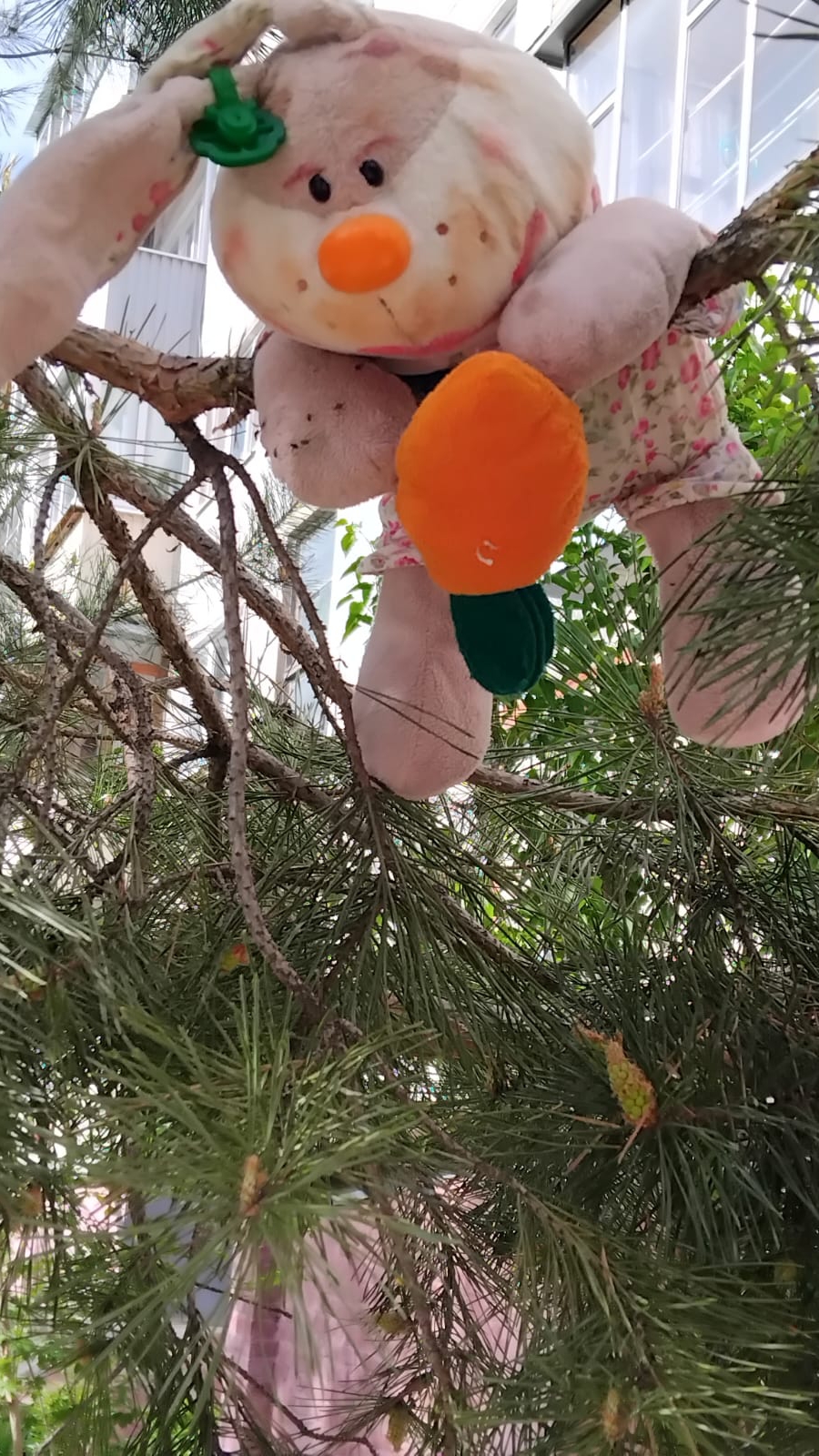 🐰🐇🤣