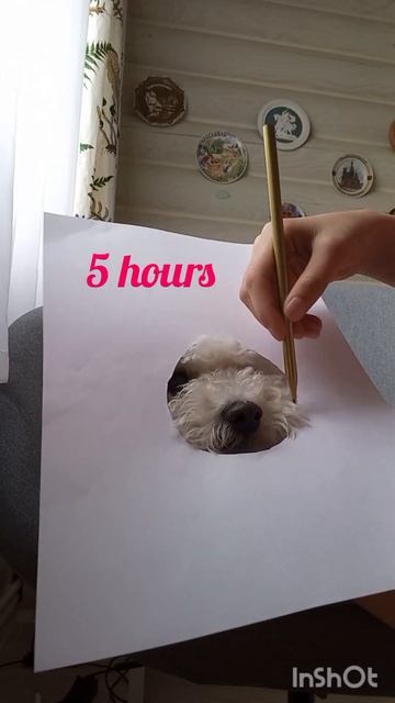 РИСУЕМ БИШОНА! 😲 #бишонфризе #бишон #dog #shorts #short #shortvideo