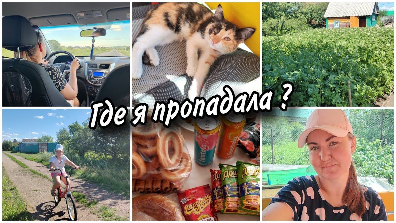 Почему не было влогов? Впервые купила микрофон для блогера. Покупки с дачного магазина.