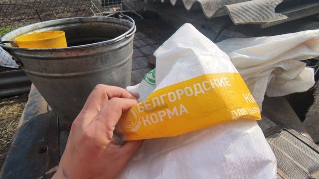 Обзор второго двора с Гидом!