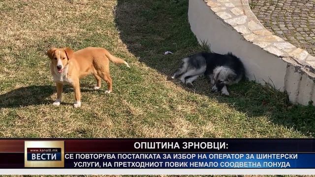 ТВ Канал 8 - Вести - 19.07.2024