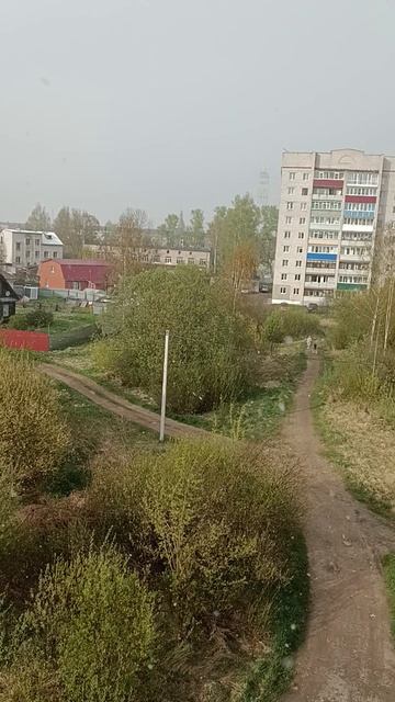Снегопад в конце апреля в Тверской губернии.