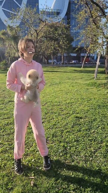 🐕🦺🐶 Мы тоже поддались! Новый тренд + Оскар = море умиления!