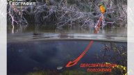 Зимородки в Киеве. Графика норы