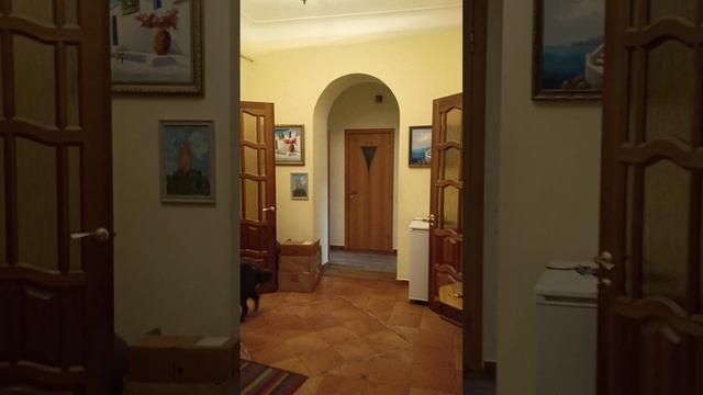 1000605195.mp4
