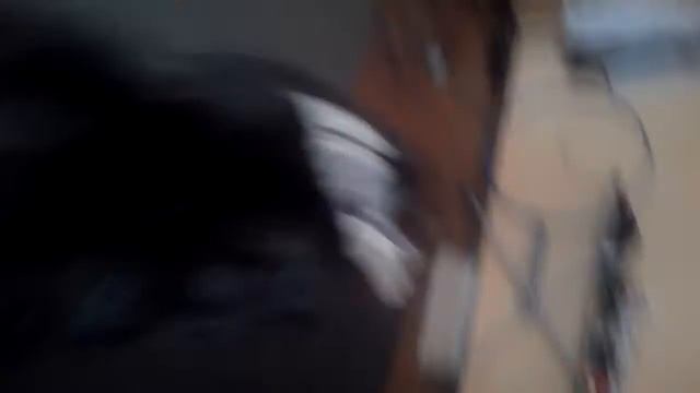 Йорк играет 😅😅😅