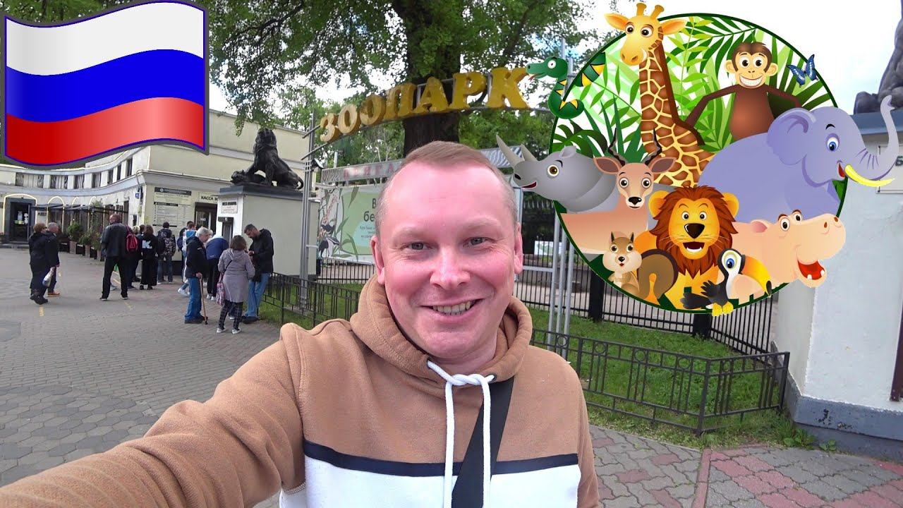 #6.1.Как на сафари! Калининградский Зоопарк времён Пруссии. Какие животные здесь обитают?