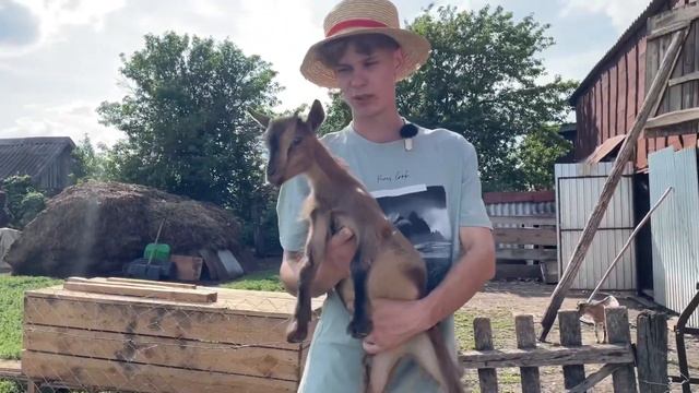Зачем нам в Деревне СТРАУСЫ и КОЗЫ Декоративные !? Молодой фермер в 21 👨🌾