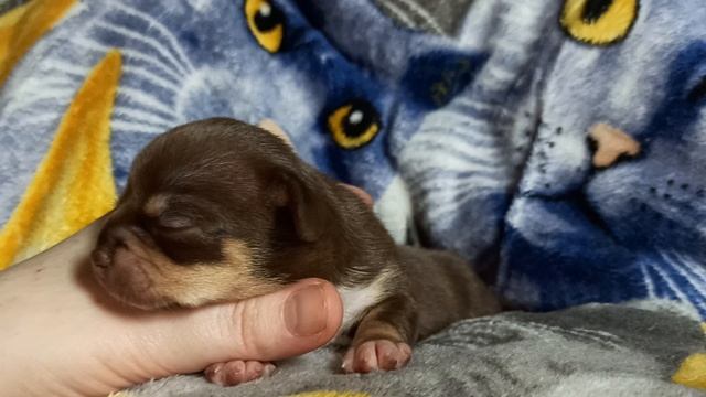 Друзья ! Благодарю вас за то, что вы с нами! 26/04/25 в Дзен 5006 подписчиков!