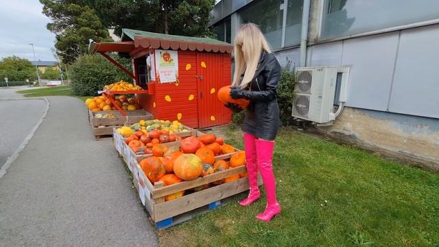 ☀️🍃ОСЕНЬ 🍂 СЕЗОН ТЫКВЫ 🍂🍁🎃