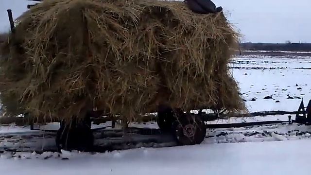 двуосний прицеп на минитрактор Зоривец