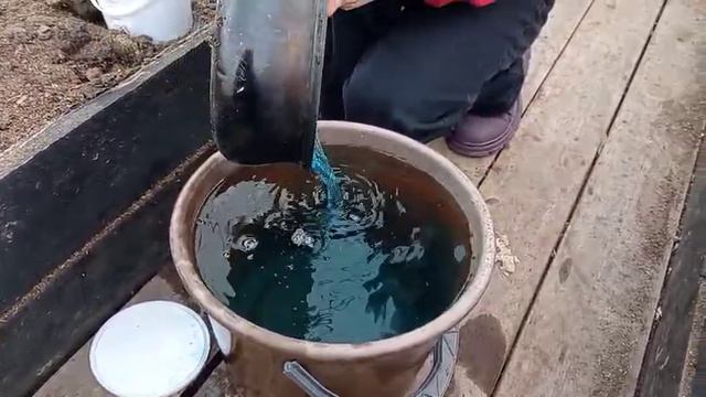 обрабатываем землю медным купоросом