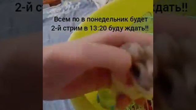 В понедельник будет 2-й стрим!!!