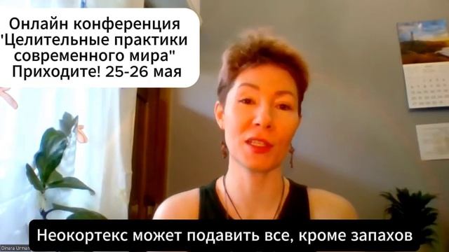Энергии эфирных масел. Как это работает? Беседа с Динарой Урман, спикером конференции 25-26 мая