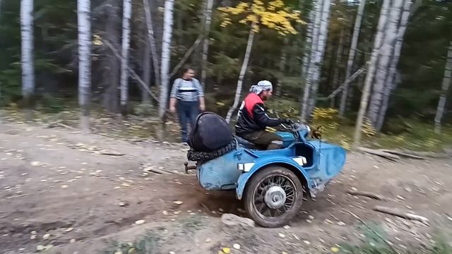 Прохват на колясычах. Шунут 2022.