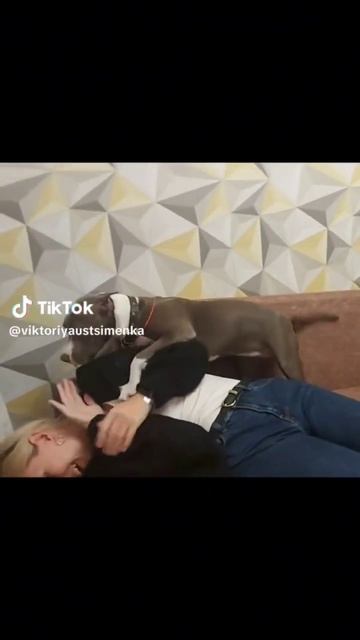 ну давай поцелуемся😂😂😂