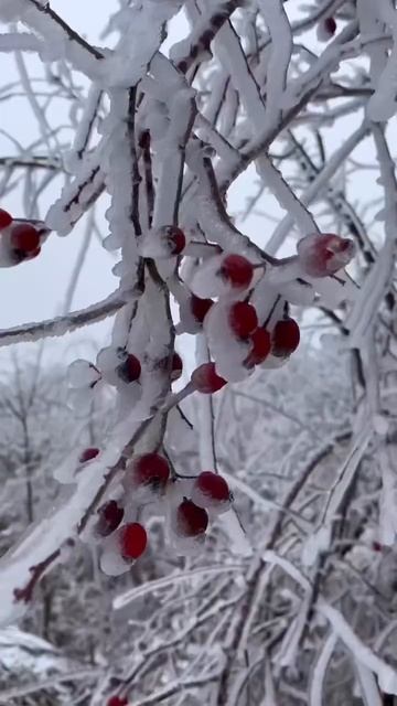 Зимняя сказка на Бештау Пятигорск КМВ