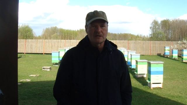 Продал половину пасеки. Проблемы с реализацией меда.