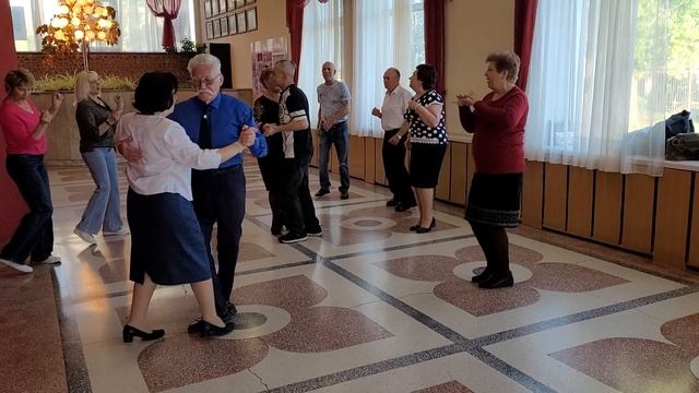 Черемуха белая... 26.04.25...