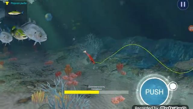 Играю в фиш Играю страйк