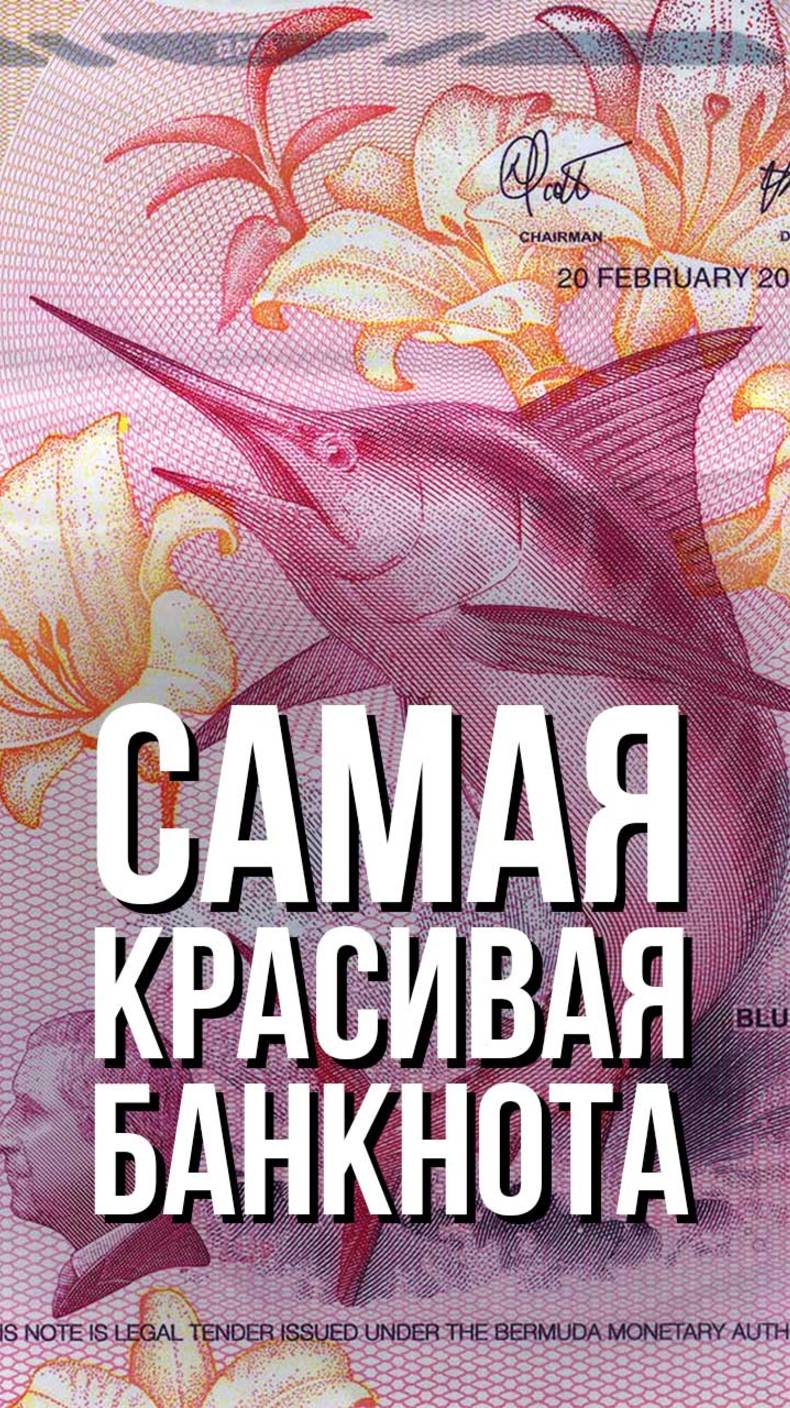 Самая красивая банкнота 2024 года