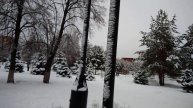 поёт 🎶😀автор-исполнитель, песня "Снежная Земля" (1 куплет)❄