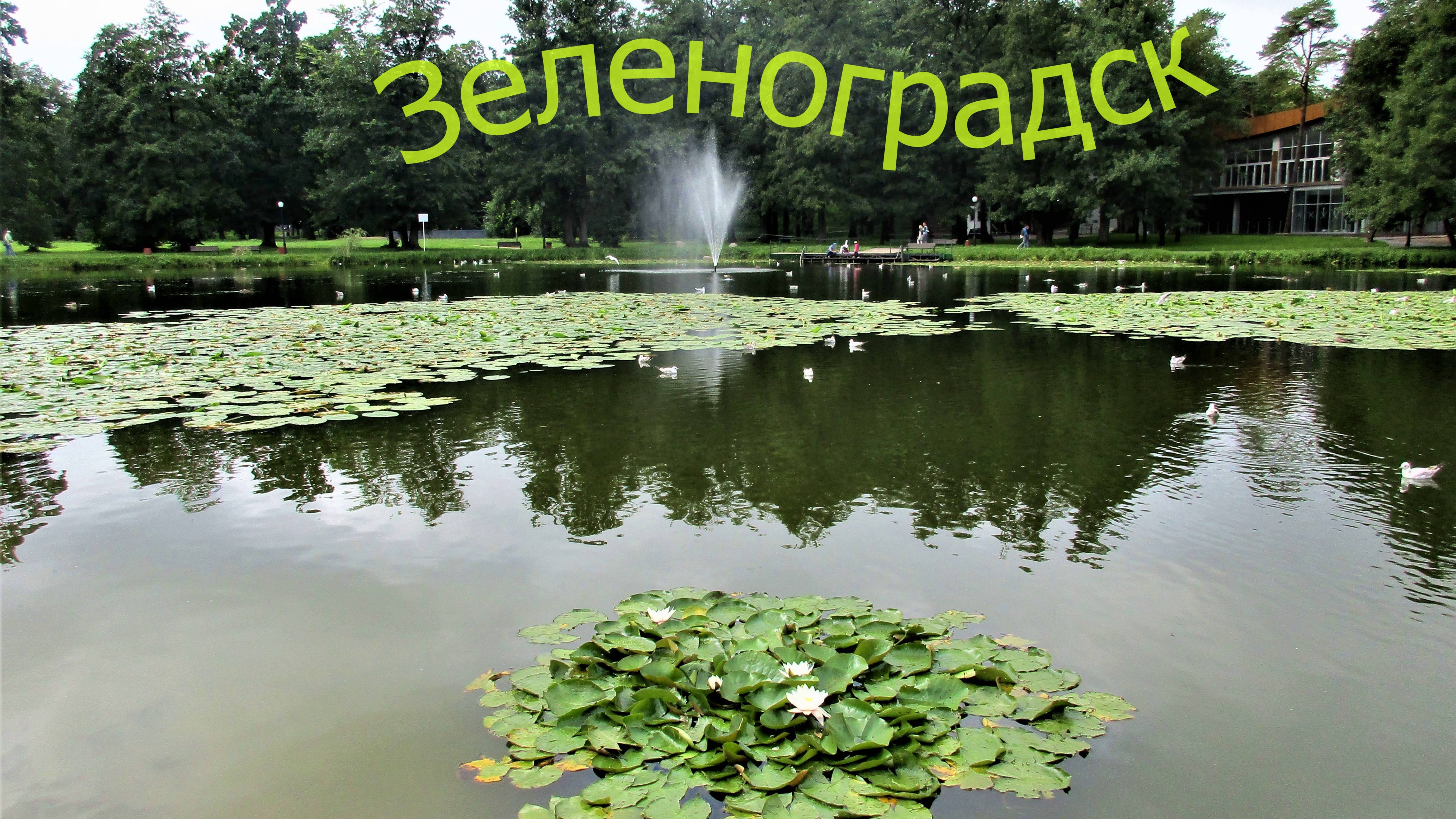 Зеленоградск