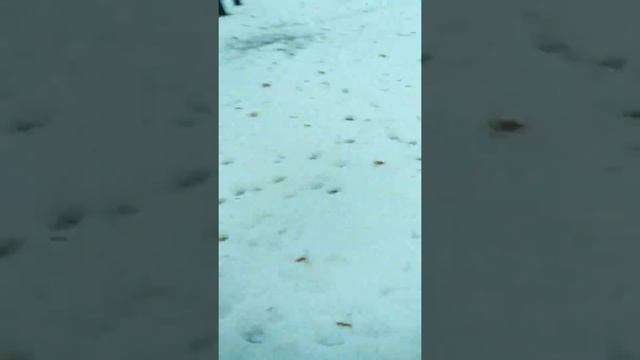 Снежком попали по камере! 😓Влог!)