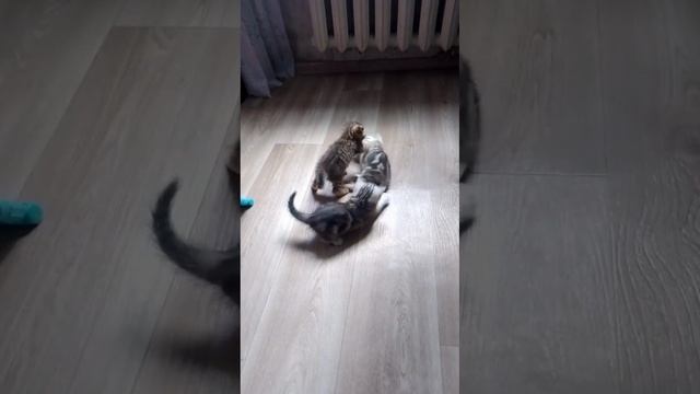 1000046790.mp4