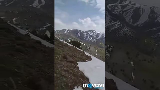 Вешист