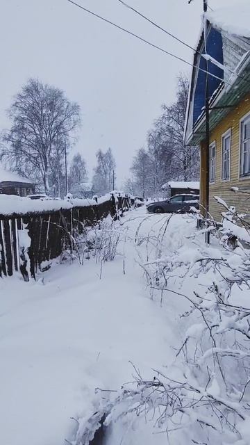 Особый пожароопасный сезон, объявлен в Вологодской области. 26 апреля 2025 г.