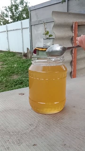 медок