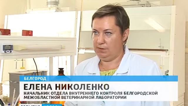 ЗАПОРОЖЧЕНКО ДЕНЬ ВЕТРАБОТНИКА СН 05,26 НА 4 СЕНТЯБРЯ