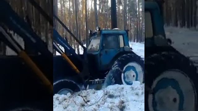 работа зимой в лесу