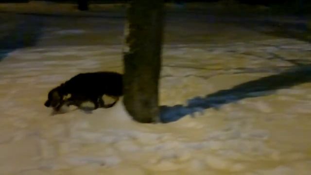 Охота на снежинки.mp4