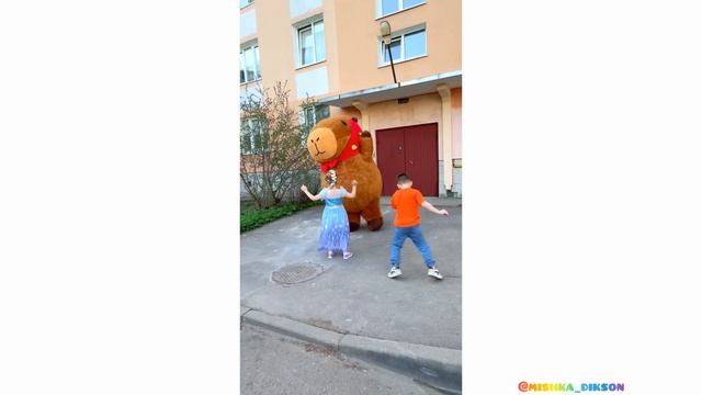 КАПИБАРА для Вас !
