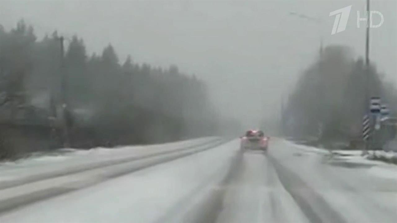 Массовое ДТП с 16 автомобилями произошло в Ленинградской области: видео