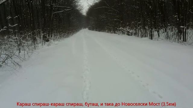 Ехото в гората