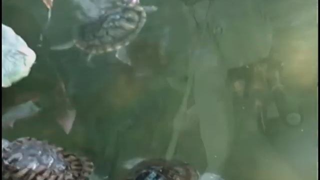 Астрахань